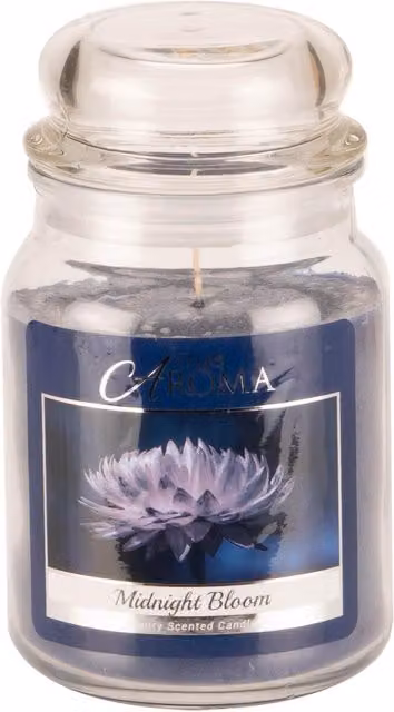 True Aroma Midnight Bloom Large Jar Candle in Blue