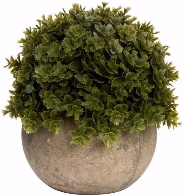 Lemon Pavilion Miniature Shrubby Veronica Artificial Potted Plant in Green, W13 x D13 x H13 cm
