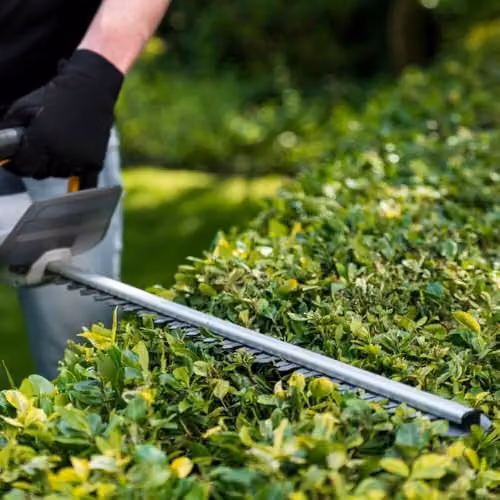 Batavia Maxxpack 18V Cordless Reciprocating Hedge Trimmer, 560mm, Grey and Black – 2