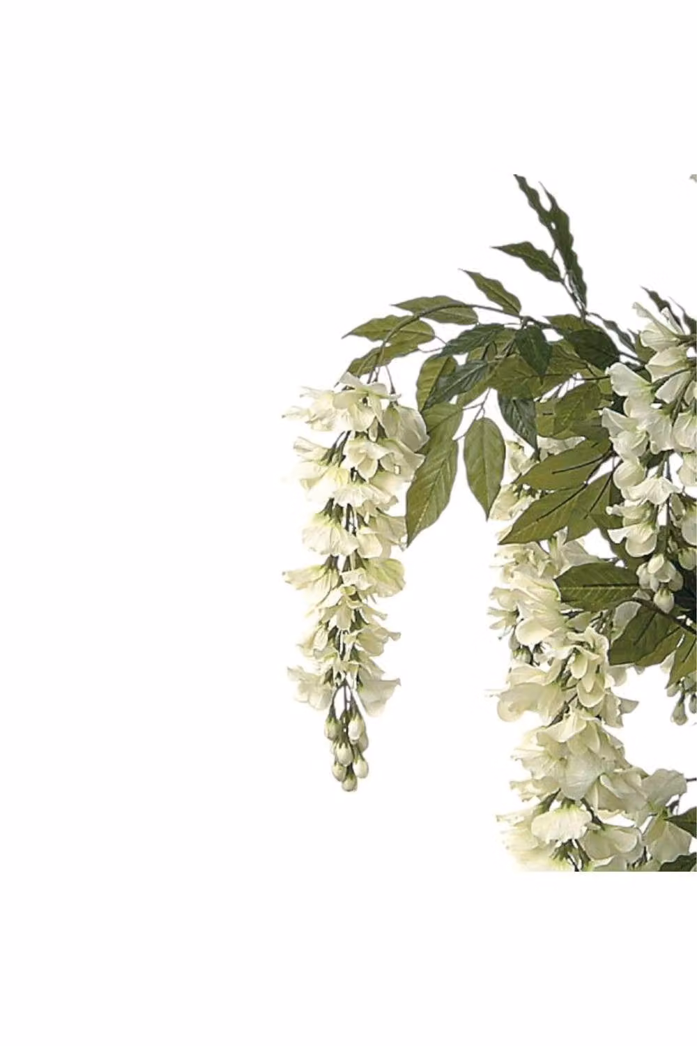 KDMD Cream Wisteria Potted Green Plant in White, Height: 152.4 cm – 2