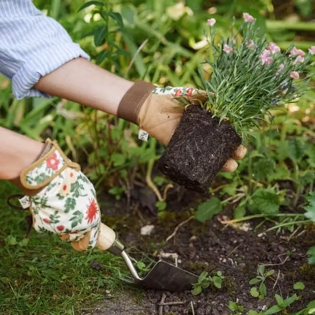 Kent & Stowe Brown Floral Gardening Gloves Small