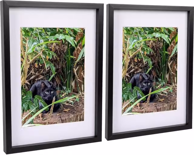 Nicola Spring Pack of 2 Rectangular 3D Box Photo Frames with A4 Mounts in Black and White