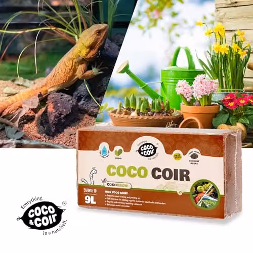 Coco&Coir 100% Natural Organic Coconut Coir Compost Brick Coco Grow, 9L – 3