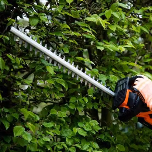 Yard Force CR20 Cordless Reciprocating Hedgetrimmer in Orange with 2.6Ah Rechargeable Battery and 45 cm Cutting Width – 2