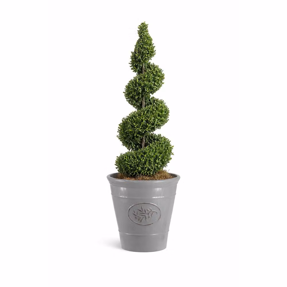 Simpa Country Style Gloss Plastic Planter, Set of 2, Grey, H 23 cm x Dia 23 cm – 2