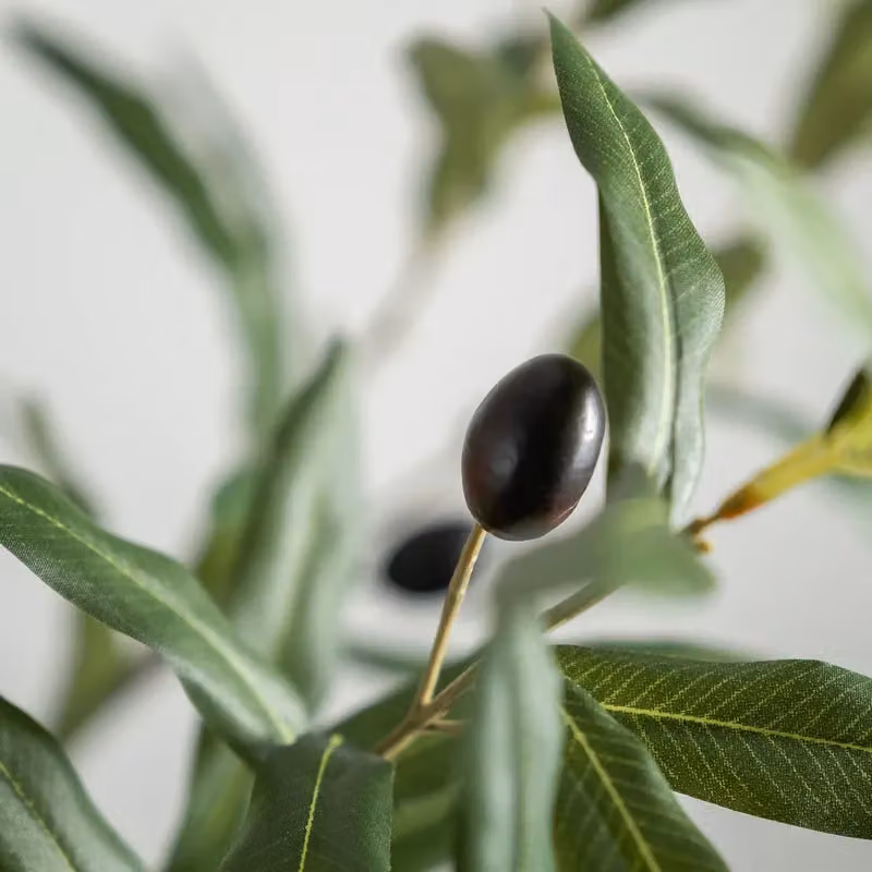 Scottish Everlastings Ltd Green Olive Branch Stem Pack of 3, Height: 86 cm – 2