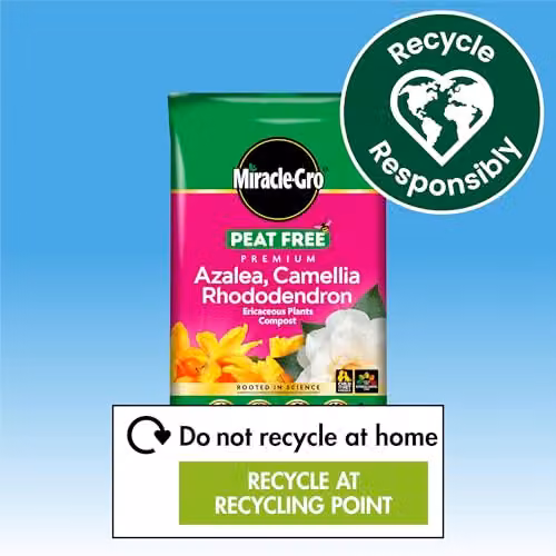 Miracle-Gro Premium Azalea, Camellia, Rhododendron and Special Plants Peat Free Compost, 40 Litres – 6