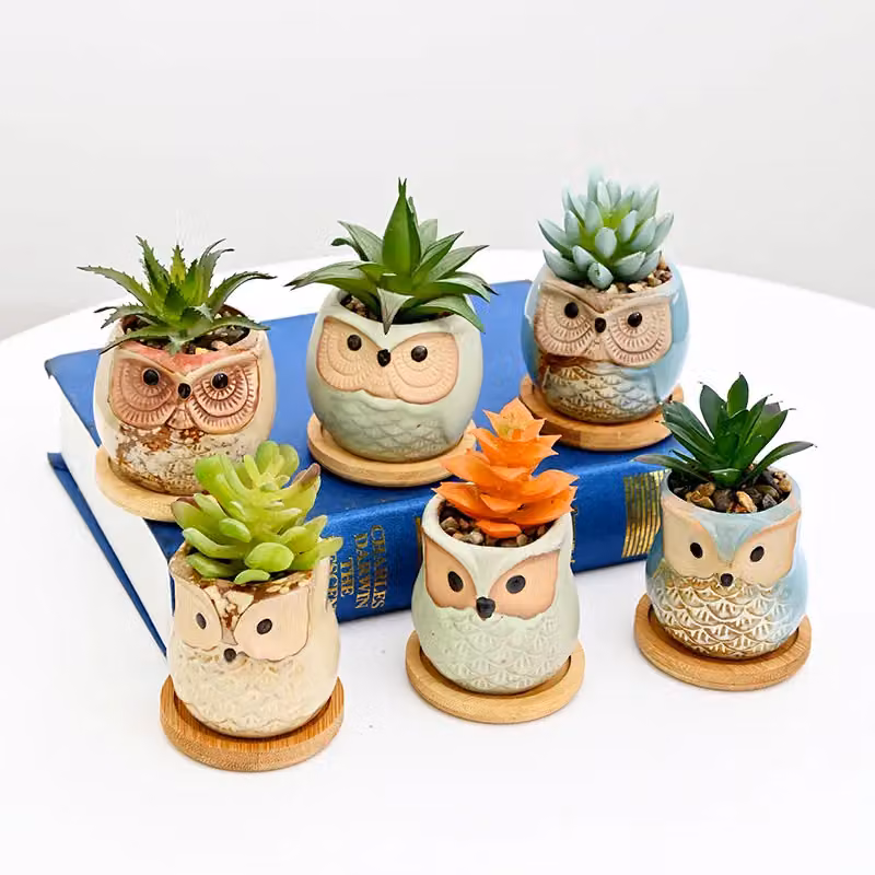 Simpa 6-Piece Decorative Owl Themed Ceramic Plant Pots with Wood Base, Multicolour and Terracotta, H 7.3 cm x Dia 7.3 cm – 2