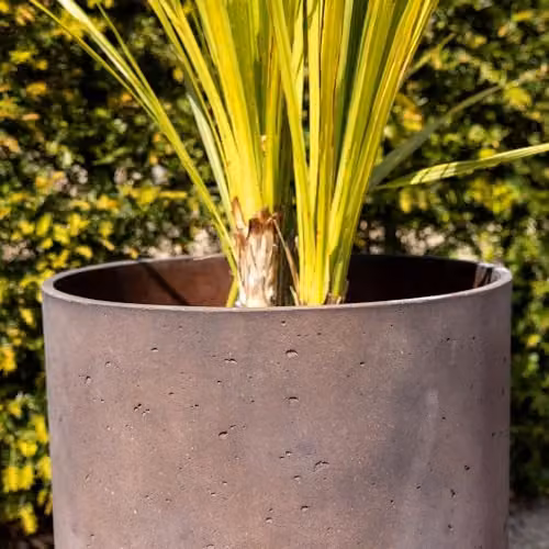 Primrose Matte Bronze Orange Limestone Round Planter Pot with Saucer, Height: 50 cm – 2
