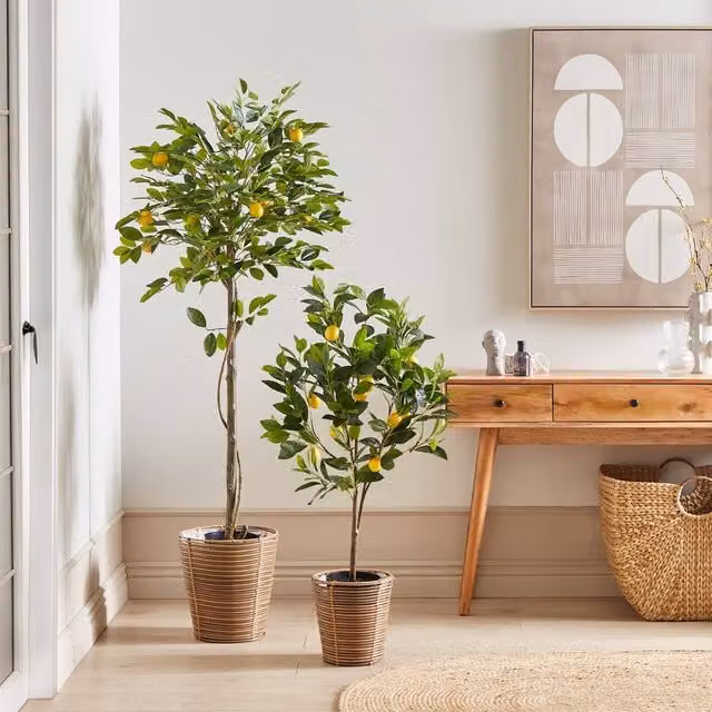 Wyld and Coco Artificial Mediterranean Lemon Tree in Green and Yellow, Height: 156 cm – 1
