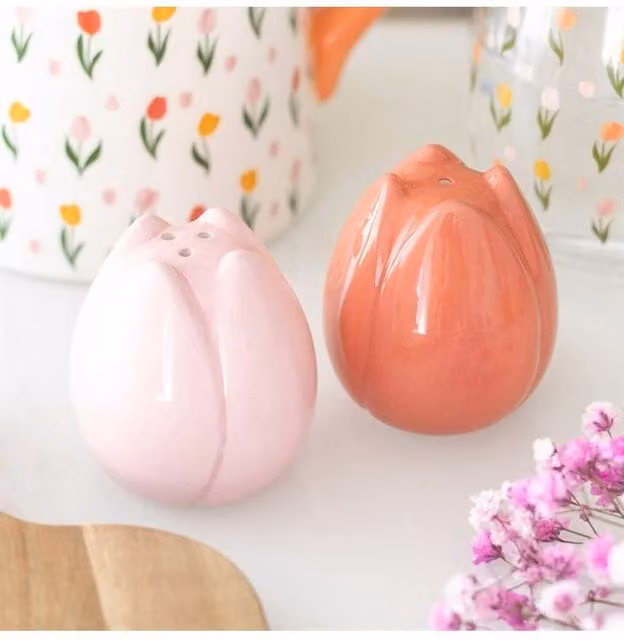 KDMD Pink and Multicolour Floral Ceramic Salt and Pepper Shakers