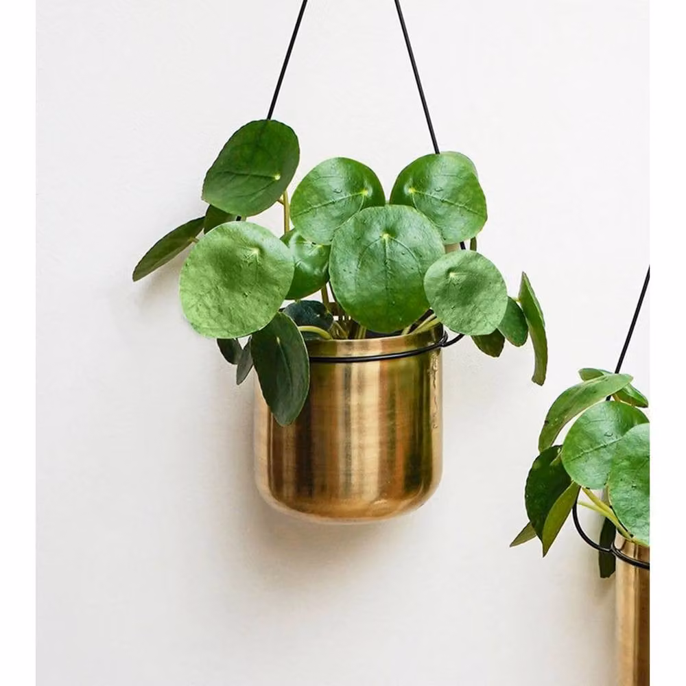 Lemon Pavilion Furniture and Decor Metal Linear Hanging Planter in Black and Gold, W: 81 cm, D: 20 cm, H: 90 cm – 3