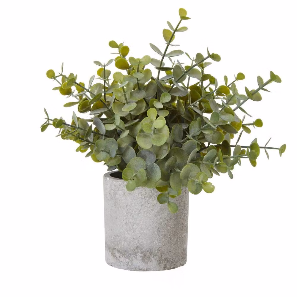 Wyld Haus Small Artificial Button Eucalyptus in a Green Ceramic Effect Pot with Grey Accents – 3