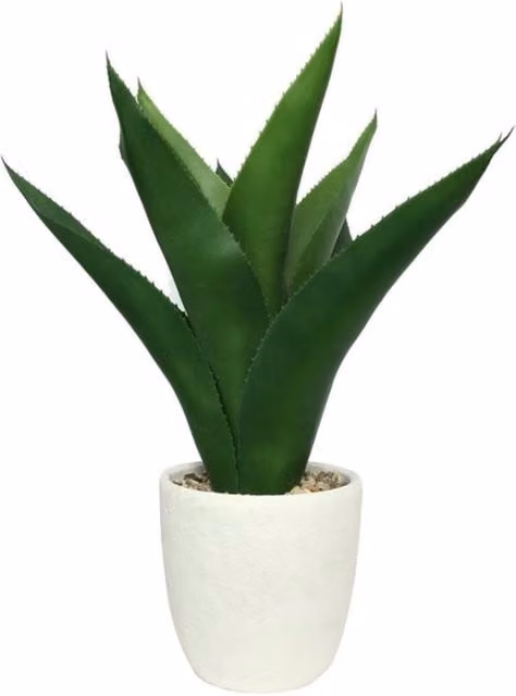 KDMD White Botanica Potted Agave Ceramic Succulent Tabletop Decor