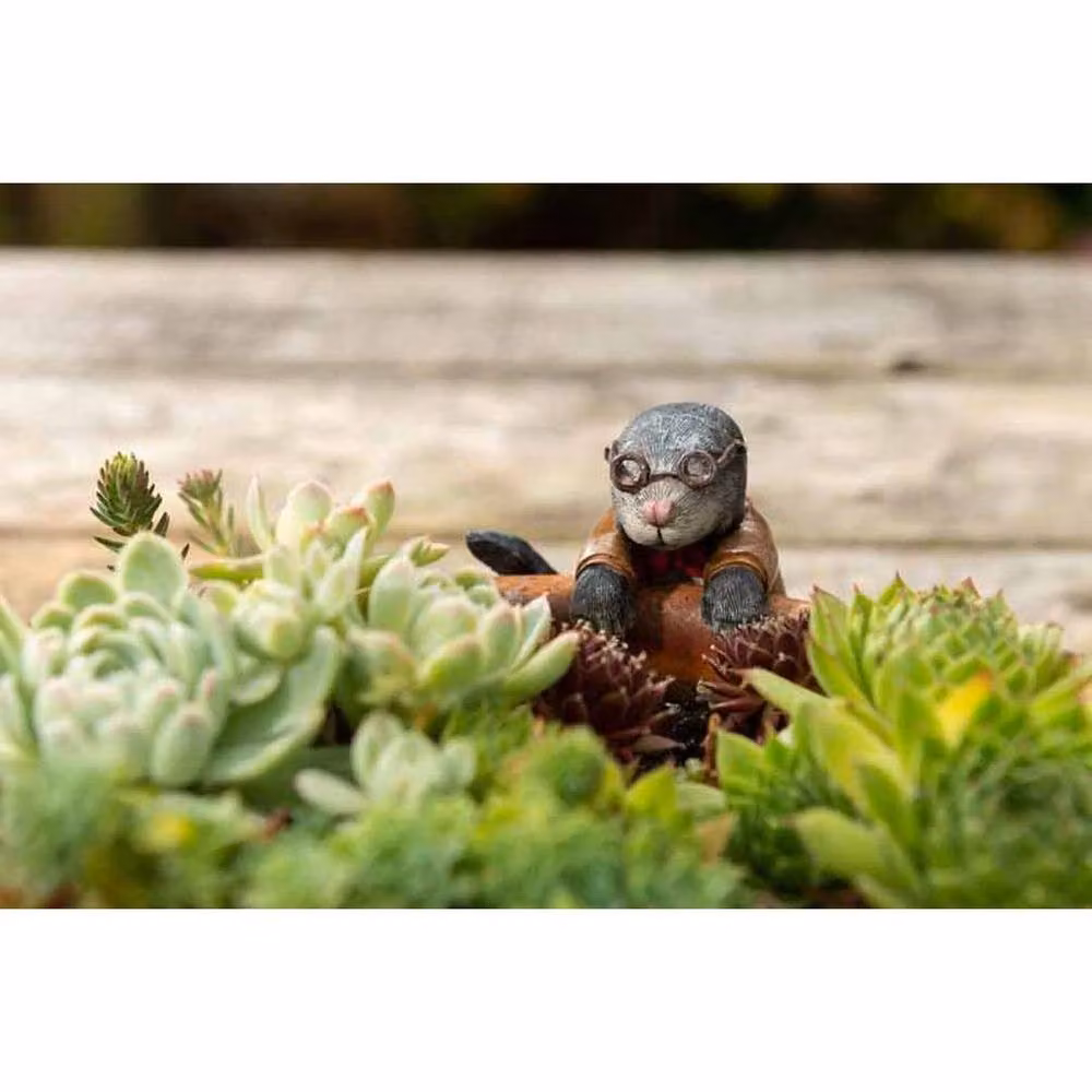 Jardinopia Full Colour Mole Plant Pot Buddy in Brown, W7.5 x D7.5 x H5.5 cm – 2