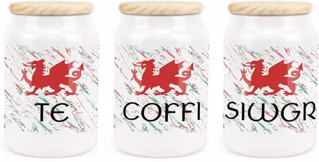 Purely Home Welsh Dragon Ceramic Tea, Coffee and Sugar Storage Canister Set in Red, Green and White
