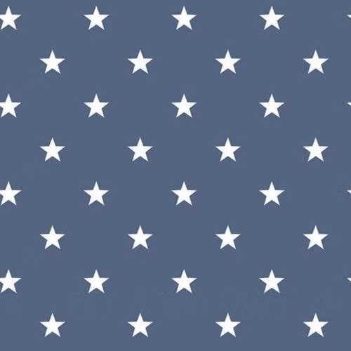 Galerie Deauville 2 Small Stars Geometric Abstract Wallpaper in White and Blue