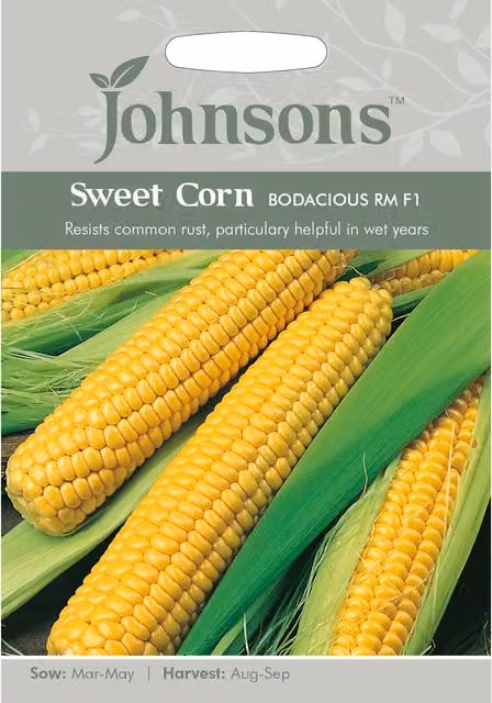 Johnsons Bodacious RM F1 Sweet Corn Yellow Vegetable Seeds