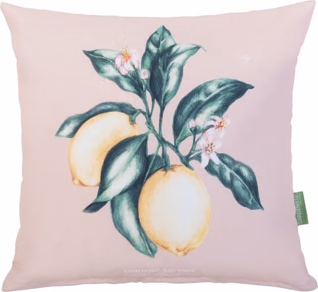 Gardenista Floral Printed Outdoor Scatter Cushion in Pink and Yellow