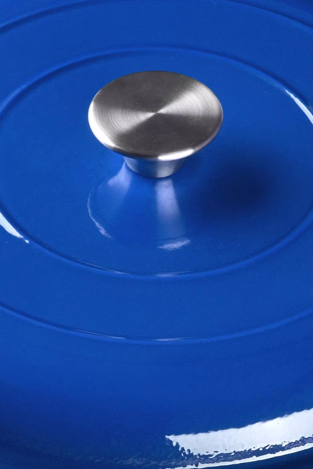 Garden Sanctuary Blue Enamelled Cast Iron Casserole Pot with Lid, 3.2 l – 5