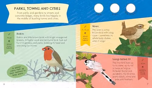 RSPB Nature Spotter Birds: A Multicolour Pocket-Sized Sticker Guidebook to Over 60 British Birds by Bloomsbury – 2