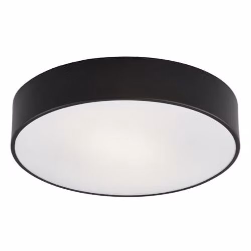 Netlighting Darling 6-Light Flush Ceiling Light in Black with Glass and Metal – 1