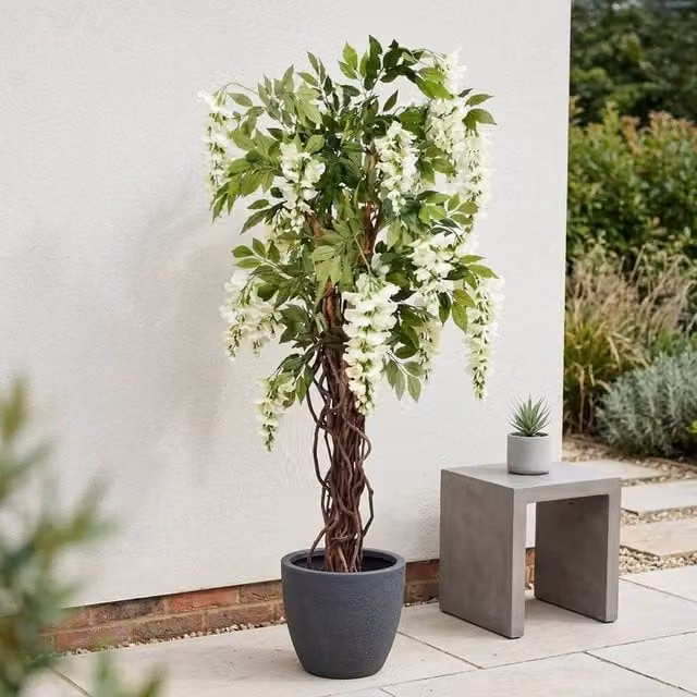 Garden Greatness Lifelike Cream and White Wisteria Potted Tabletop Tree, Height: 120 cm
