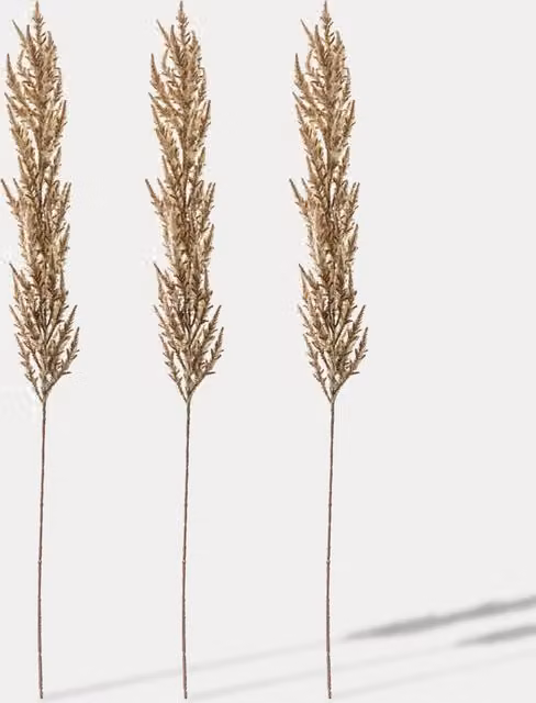 Gallery Home Set of 3 Artificial Boho Pampas Grass Single Stems in Beige