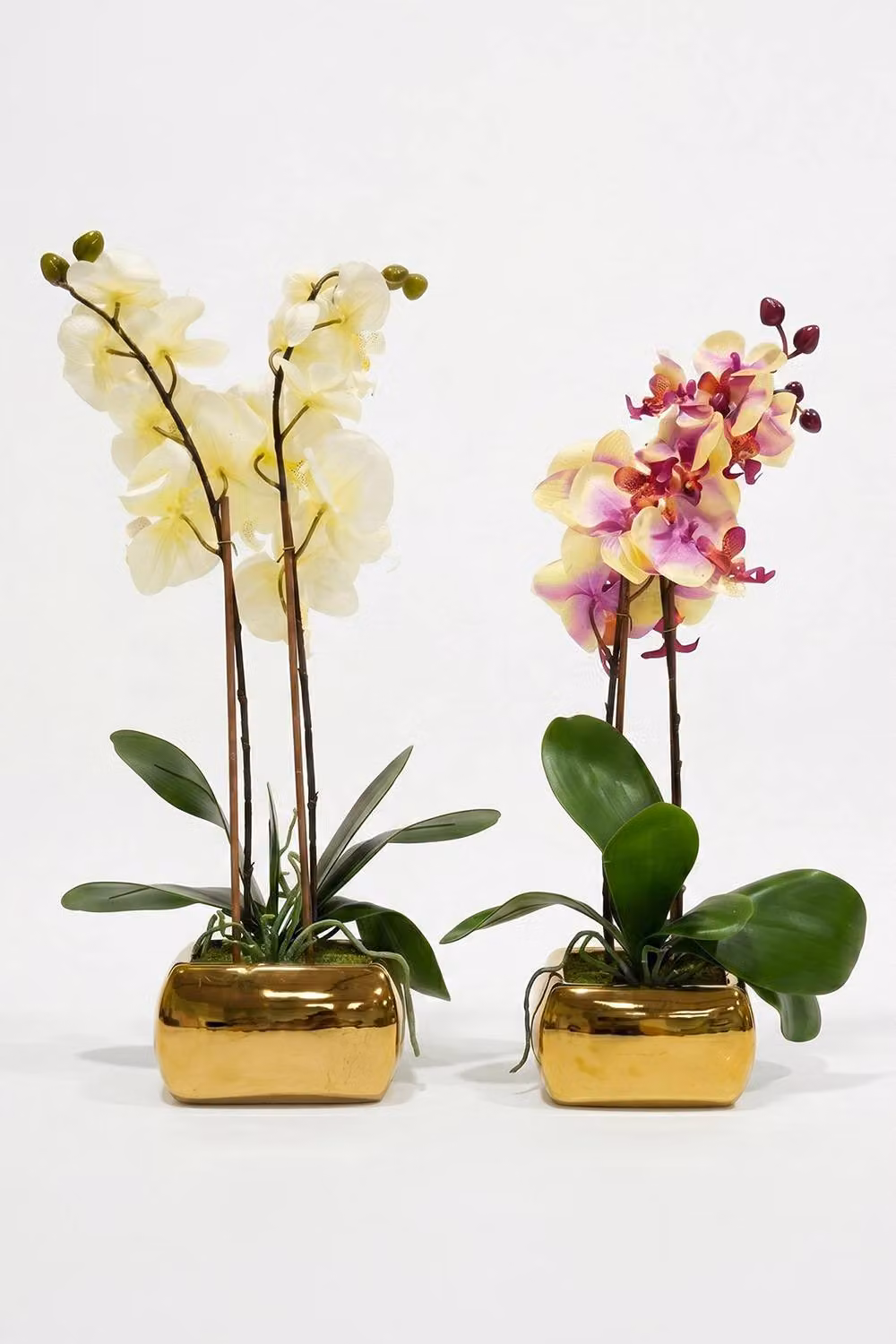 Homescapes Set of 2 Artificial White Orchids in Gold Vases