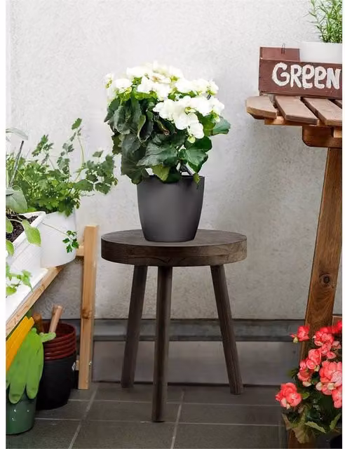Nordara Rustic Pine Wooden Round Plant Stand and Side Table in Brown