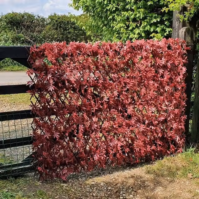 True Products Artificial Red Acer on Woven Willow Trellis, H x W: 200 x 100 cm