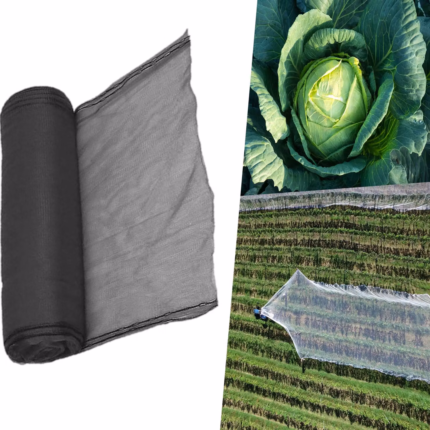 Pegdev Black Heavy Duty UV Stabilised Plants and Crops Netting for Vegetable Gardens, W: 2 m, L: 20 m – 3