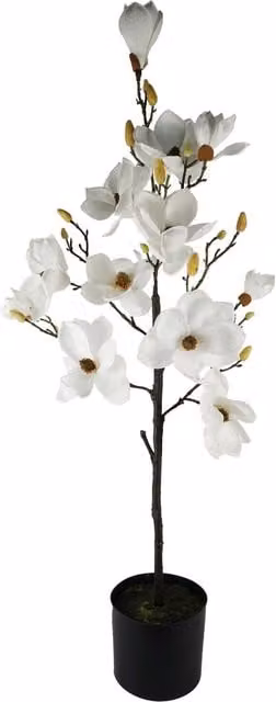 Luxury White Magnolia Artificial Flowering Tree, Height: 110 cm, Width: 40 cm