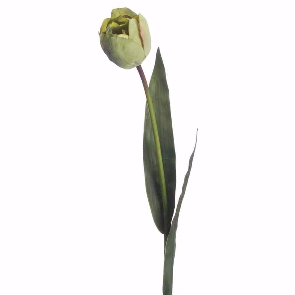 Lemon Pavilion Green Tulip Artificial Flower, Plastic, W: 8 cm, D: 8 cm, H: 50 cm – 2