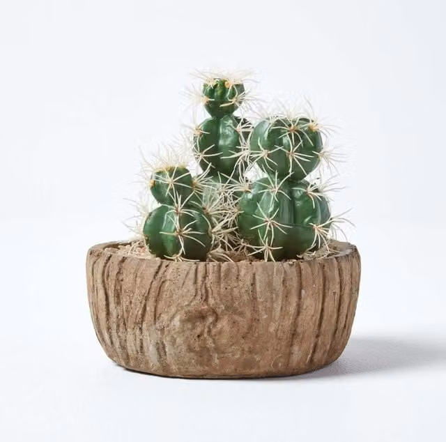 Homescapes Echinocactus Artificial Succulent in a Round Wooden Planter, Green and White, Height: 15 cm – 1