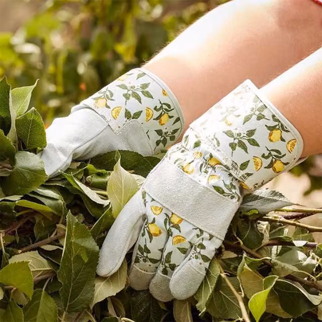 Briers Sicilian Lemon Print Premium Lightweight Leather Rigger Gardening Gloves in White and Multicolour