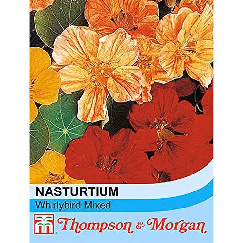 Thompson and Morgan Nasturtium Whirlybird Mixed Indian Cress Flower Seeds, 25 Seeds, Multicolour