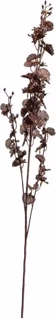 KDMK Deep Purple Dancing Orchid Stem Dramatic Floral