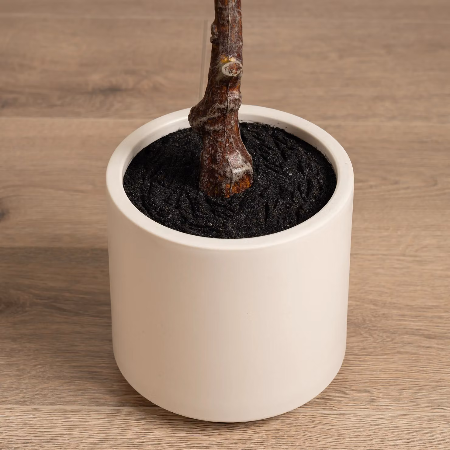 Scottish Everlastings Ltd 90cm Real Touch Fiddleleaf Fig Tree in a Chunky White Pot, Green – 2