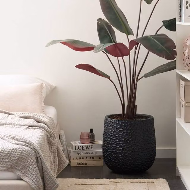 Wyld and Coco Black Fibre Clay Round Planter Tub W/D/H: 41 x 41 x 43 cm
