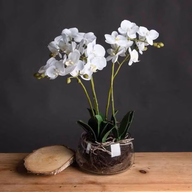 Lemon Pavilion Furniture and Decor White Artificial Orchid in a Glass Pot, W21 x D21 x H61 cm – 1