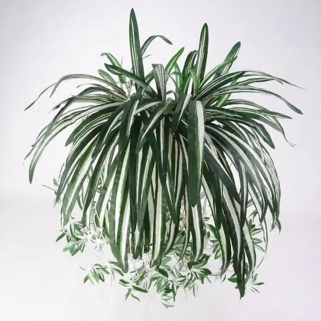 FLAVORA Hanging Artificial Green Chlorophytum Spider Plant, W: 15 cm, H: 100 cm – 1
