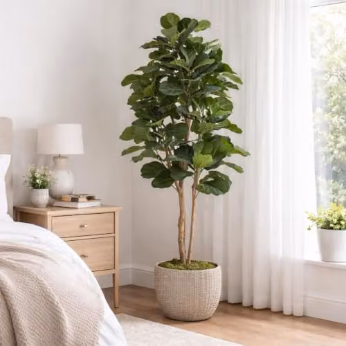 Botanik Artificial Fiddle Fig Tree in Green with Black Plastic Pot, Height: 180 cm – 6