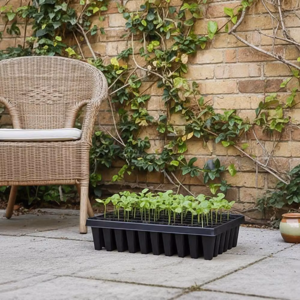 KORVIXA 60-Cell Plastic Seedling Propagation Root Trays in Black – 5