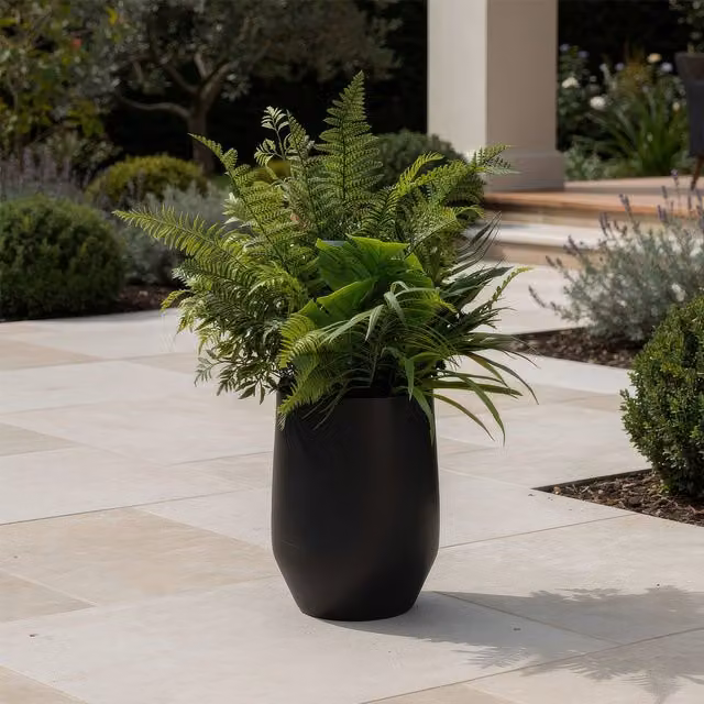 Scottish Everlastings Ltd Mixed Fern Potted Plant in Black Container, Green, Height: 102 cm – 1