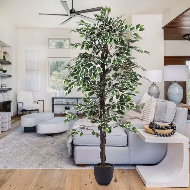 Breeins Artificial Ficus Tree in Green and Black, Height: 180 cm