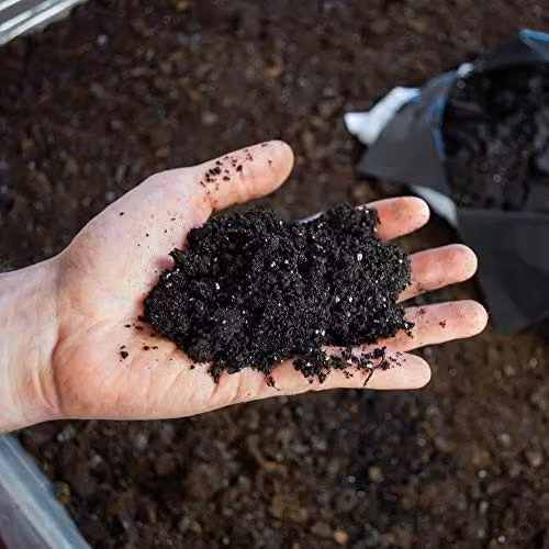 Thompson and Morgan Ericaceous Compost for Acid-Loving Plants, 25 l