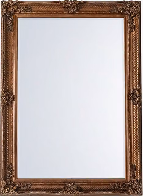 Perch & Parrow Clarissa Rectangular Gold Metal and Glass Wall Mirror