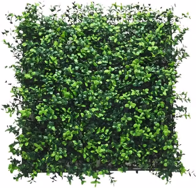 Ark Mat Boxwood Artificial Plant Wall Panel in Green, 50 x 50 cm