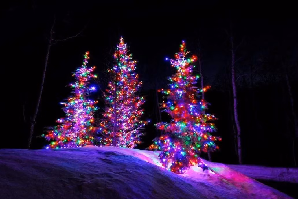 Shatchi Multicolour RGB LED String Fairy Lights with Timer, 500 LEDs, 50m, IP44 Indoor/Outdoor Christmas Decorations – 3